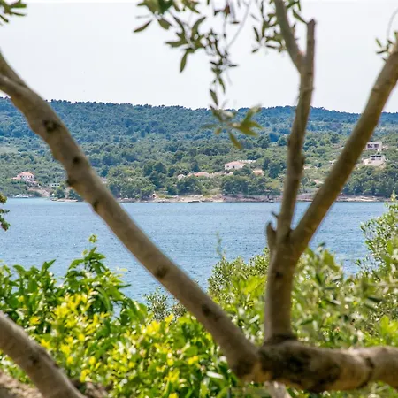 By The Sea Necujam, Solta - 8691 Апартаменты *